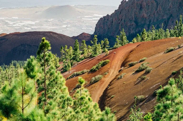 Ekstrem vulkansk vej på farverige skråninger på øen Tenerife